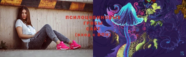 индика Балахна