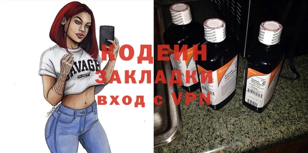 индика Балахна