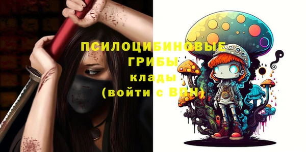 индика Балахна