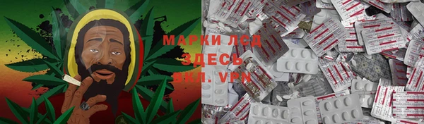 индика Балахна