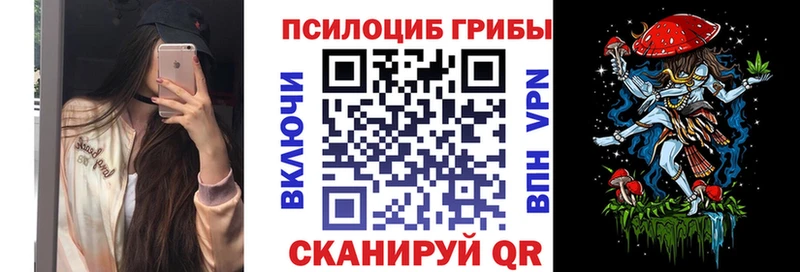 Псилоцибиновые грибы Psilocybe  Междуреченск 
